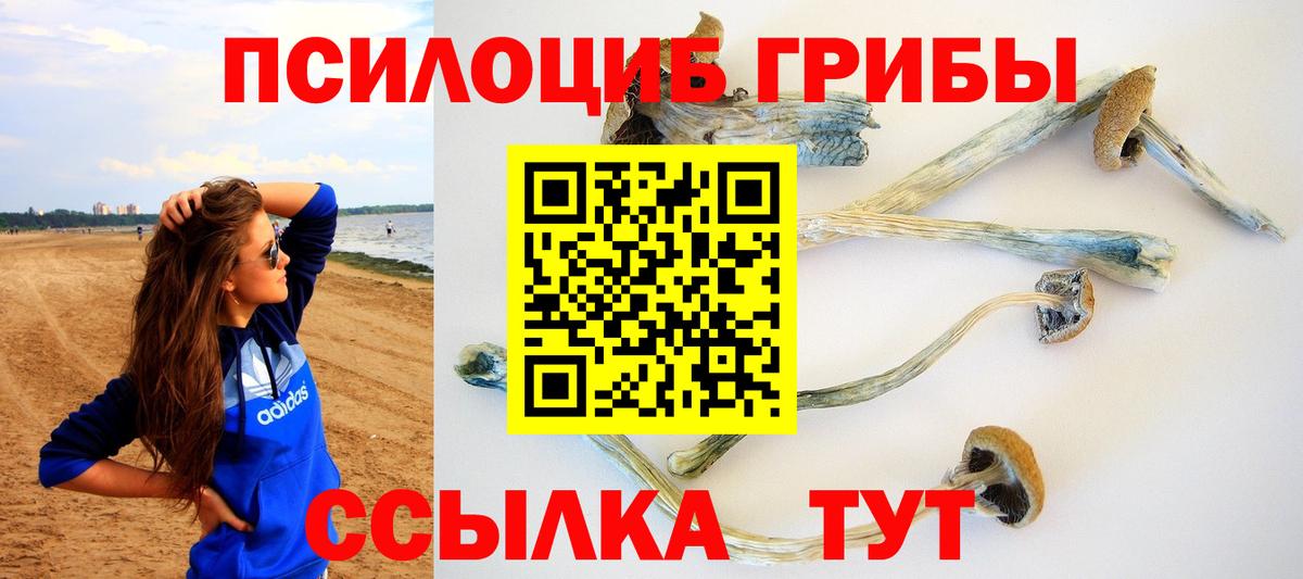 Ивантеевка  цены   Вход с VPN  Галлюциногенные грибы Psilocybine cubensis  Галлюциногенные грибы мухоморы 