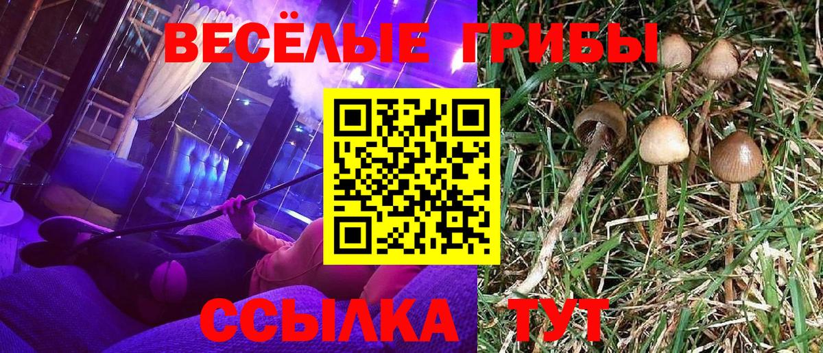 Псилоцибиновые грибы ЛСД Ивантеевка